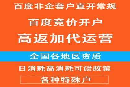 竞价推广技巧分享：成功案例剖析